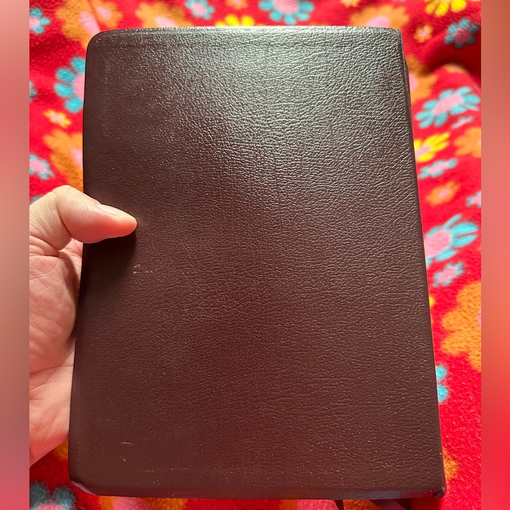 Thompson Chain Red Letter Leather KJV Bible with Box Good shape See pictures - Picture 3 of 15